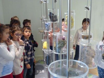P1230045.JPG