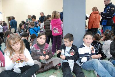 magosto_218_800x537.jpg
