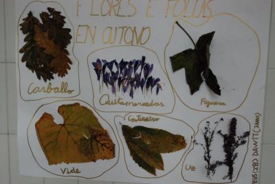 outono_064_800x537.jpg