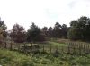 DSCN5057.JPG