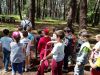 IMG_20180601_132315.jpg