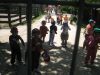 IMG_5871_800x600.JPG