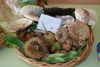 varias_015_800x537.jpg