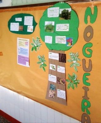 A NOGUEIRA. 3º B
