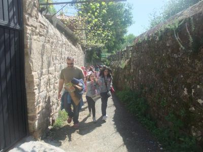 DSCF4147_800x600.jpg