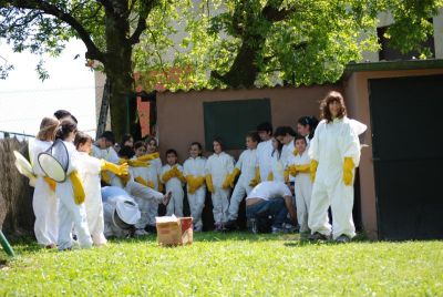DSC_0207_800x537~0.jpg