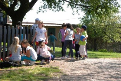 DSC_0310_800x537~0.jpg