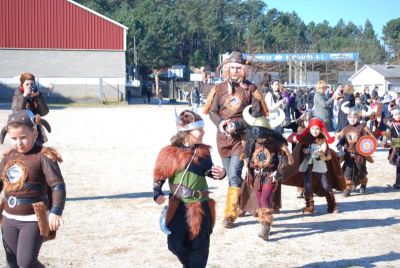AVANZADA VIKINGA
