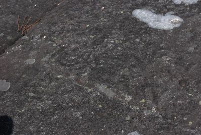 Excursión_103_800x537.jpg