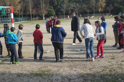 IMG_3661_800x533.jpg