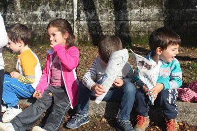 IMG_3800_800x533.jpg