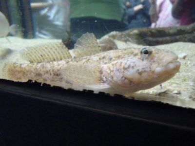 P1110970_800x600.jpg