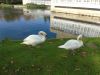 DSC00105_800x600.jpg