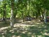 P1100571_800x600.jpg