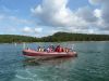 P1110636_800x600.jpg