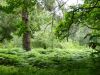 P1110770_800x600.jpg
