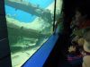 P1110952_800x600.jpg