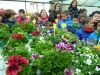 P1140707_800x600.jpg