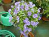 P1140714_800x600.jpg