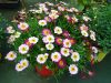 P1140716_800x600.jpg