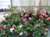 P1140719_800x600.jpg