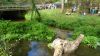 P1140841_800x450.jpg