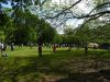 P1190628_800x600.jpg