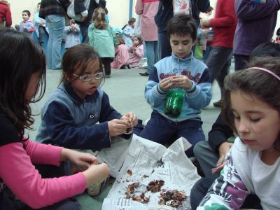 Que concentrados comendo!
