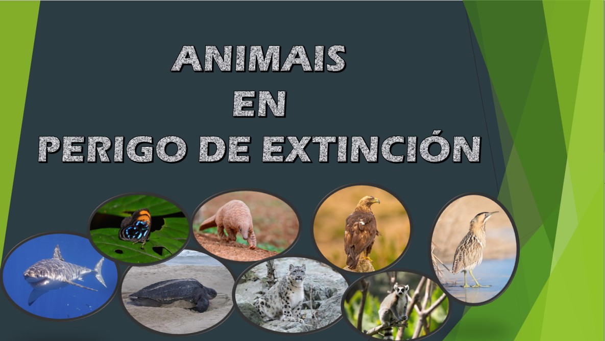 PORTADA ANIMAIS EXTINCIÓN