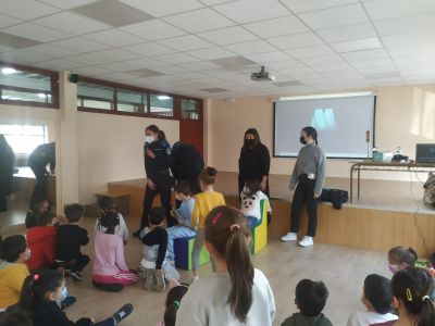 educacion_vial_28229.jpeg
