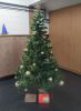 IMG_20201218_115030.jpg