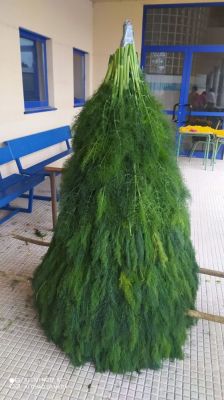 Preparación do Maio do CEIPP San Benito de Lérez 2023
Resume das xornadas de traballo preparando o noso Maio. 
Palabras chave: Maio 2023