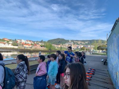 DRAGONES-5º (4)
Dragones
