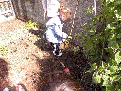 PEQUENOS AGRICULTORES
