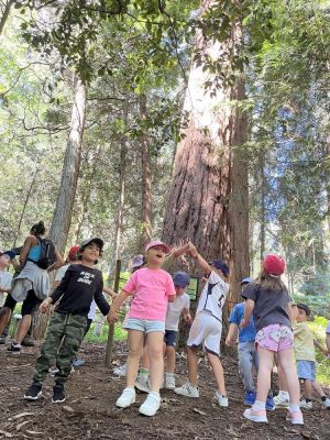 Visita de Infantil á Finca de Lourizán
Palabras chave: Visita de Infantil á Finca de Lourizán