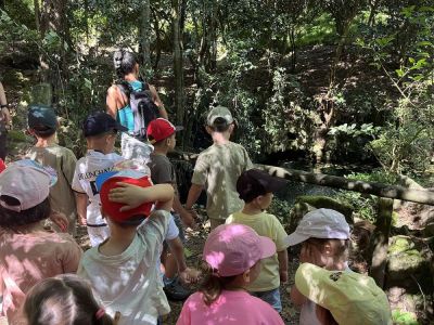 Visita de Infantil á Finca de Lourizán
Visita de Infantil á Finca de Lourizán
