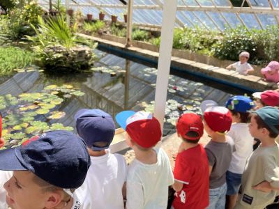 Visita de Infantil á Finca de Lourizán
Visita de Infantil á Finca de Lourizán
