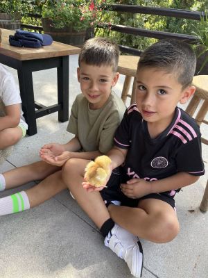 ECOGRANXA RÍO MOURO, INFANTIL 
ECOGRANXA RÍO MOURO, INFANTIL 
