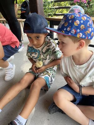 ECOGRANXA RÍO MOURO, INFANTIL 
ECOGRANXA RÍO MOURO, INFANTIL 
