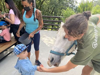 ECOGRANXA RÍO MOURO, INFANTIL 
ECOGRANXA RÍO MOURO, INFANTIL 
