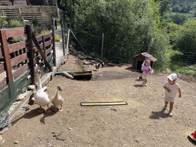 ECOGRANXA RÍO MOURO, INFANTIL 
ECOGRANXA RÍO MOURO, INFANTIL 
