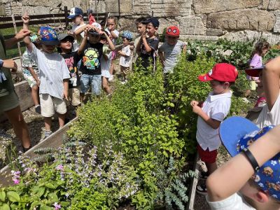 ECOGRANXA RÍO MOURO, INFANTIL 
ECOGRANXA RÍO MOURO, INFANTIL 
