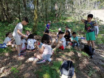 Saída pola contorna do colexio do alumnado de 1º e 2º de Primaria
 O alumnado de 1º e2º de Primaria participamos nunha saída pola contorna do colexio para desfrutar da natureza e as paisaxes que nos rodean. Foi unha mañá diferente, pasámolo moi ben.
Palabras chave: Saída 1º 2º Primaria
