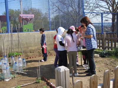 REPARTO DAS SEMILLAS
