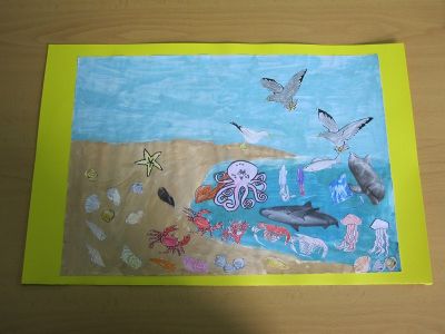 IMAXES REPRESENTATIVAS
