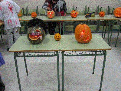 EXPOSICIÓN DE CABAZAS
