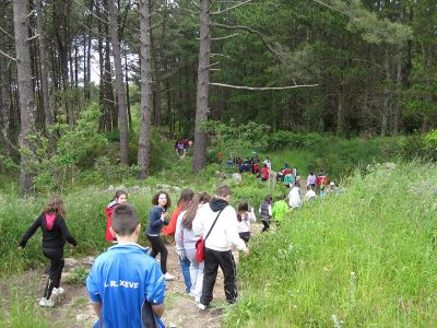 CAMIÑO DO CASTRO DE BAROÑA
