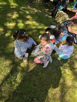 WEB-RIOGAFOS-VAIPOLORIO15
