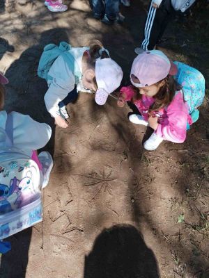 WEB-RIOGAFOS-VAIPOLORIO3
