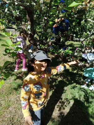 WEB-RIOGAFOS-VAIPOLORIO5
